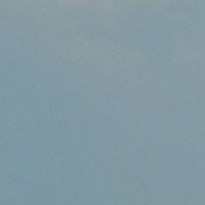 Meet your Posher, Brooklyn